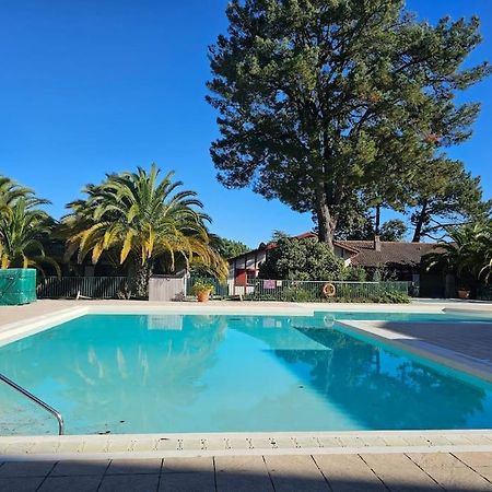 T2 Ciboure 4 Pers Avec Piscine Ideal Vacances Exterior foto